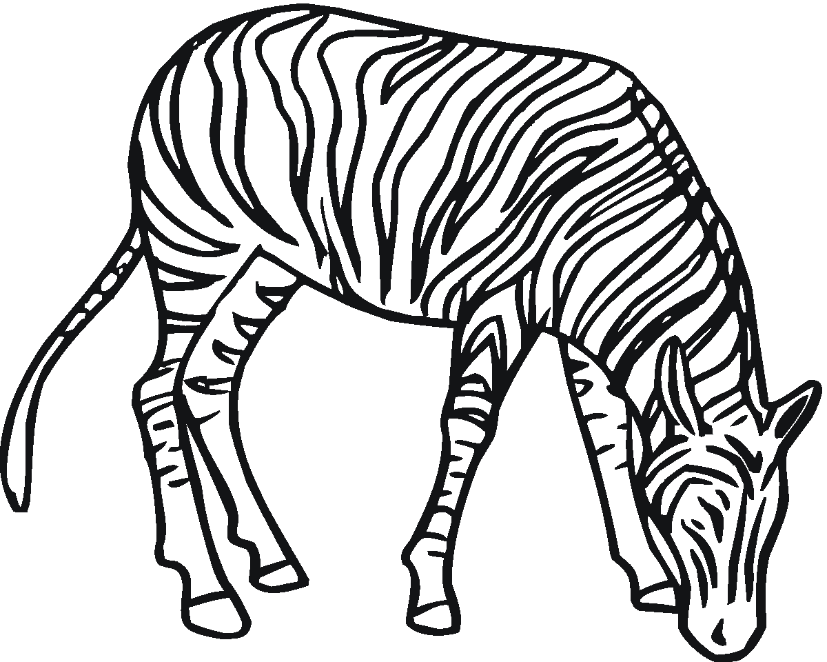 Zebra 4 Coloring Online | Super Coloring