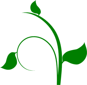 Vine clip art - vector clip art online, royalty free & public domain