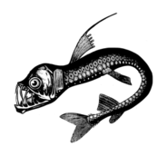 Deep Sea Fishing Rod and Reel Vector - Download 1,000 Vectors (Page 1)