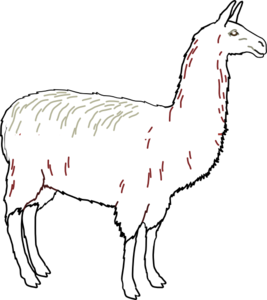 Llama Outline Clean clip art - vector clip art online, royalty ...