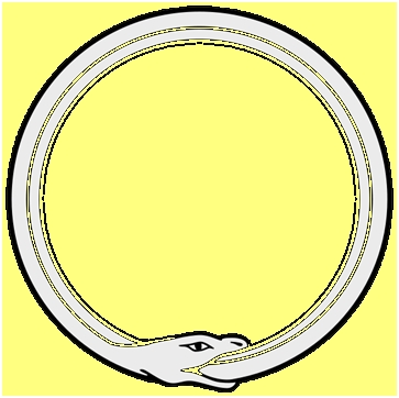 Venomous Snakes | Liz Jakes