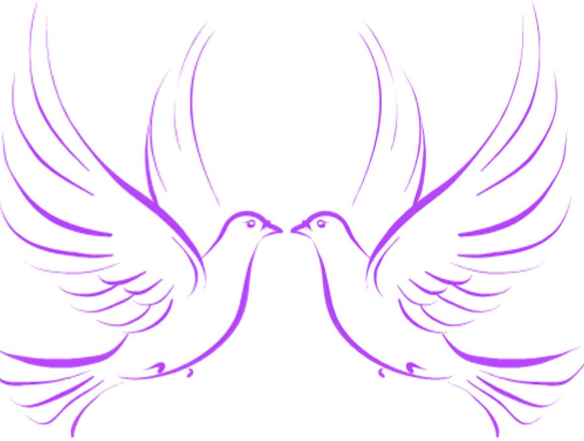 White Dove Clipart