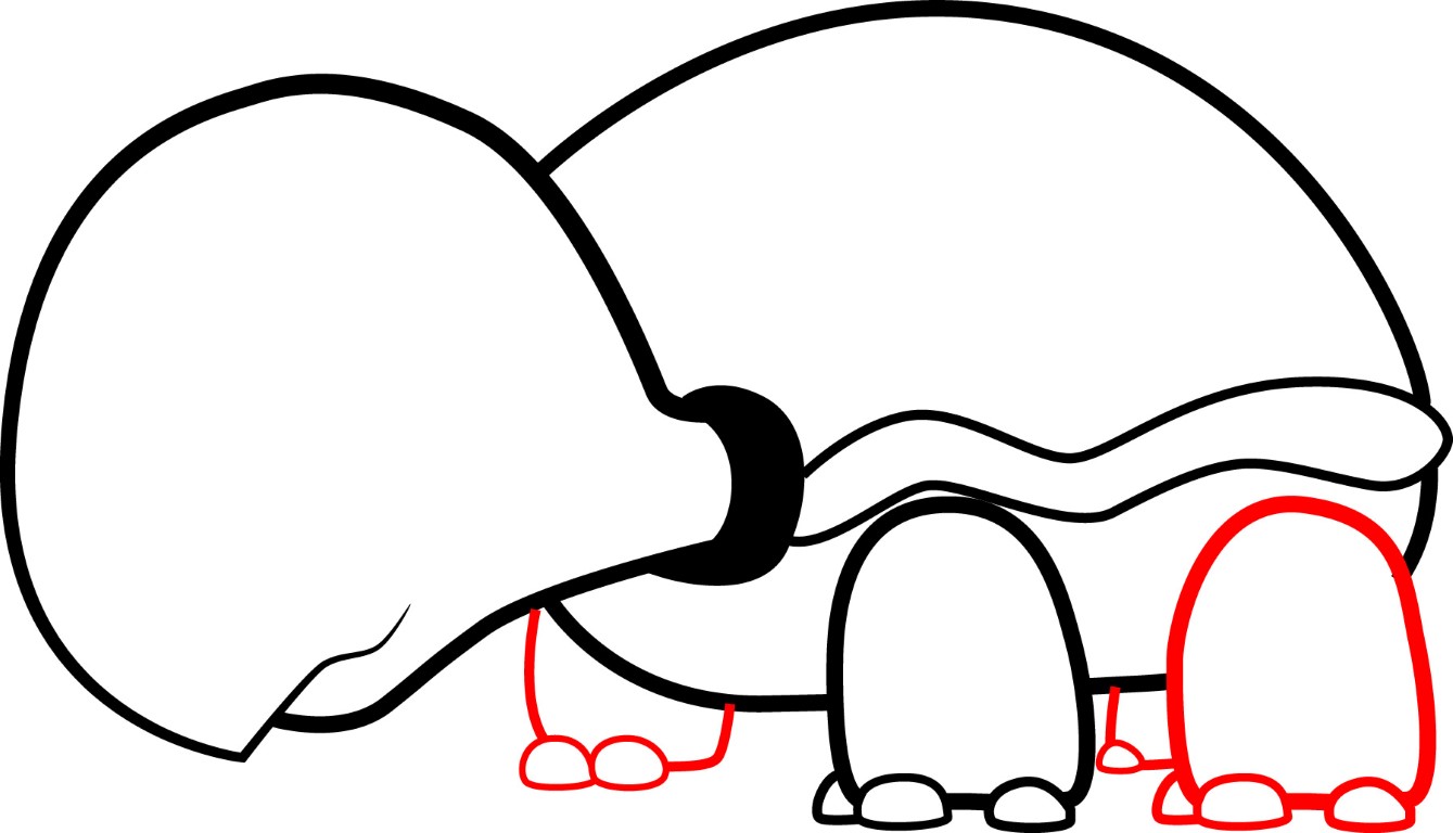 How To Draw Turtle Shell Pattern - ClipArt Best