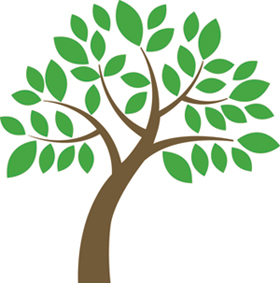 The Mercy Tree is a social justice initiative of OLMC Parramatta where a symbolic tree was planted and blessed in early 2012. It symbolises the growth of the commitment to Mercy Values