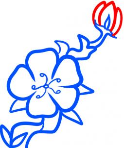 Flowers - How to Draw a Cherry Blossom for Kids