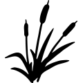 cattail007_.gif