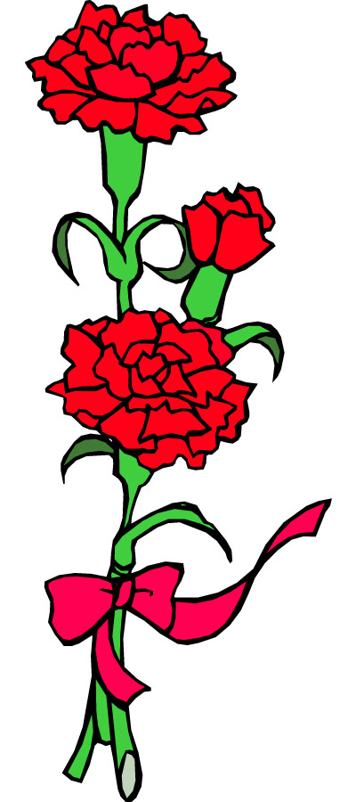 Carnation Clipart - Tumundografico