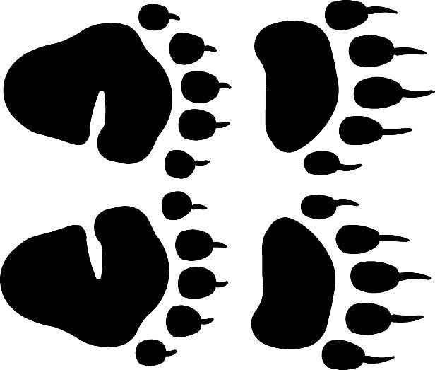 Black bear tracks clipart