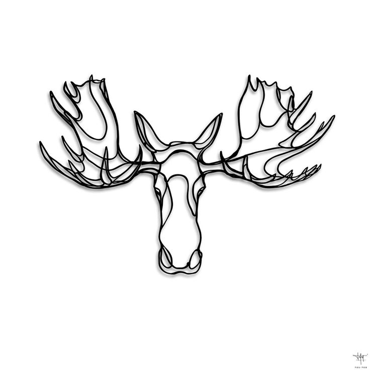 Moose Art | Fine Art Prints, Art ...