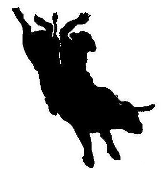 1000+ images about Bull Riding And Rodeo | Football ...
