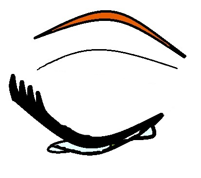 DeviantArt: More Like Anime Eye Blinking -in frames- by airarachnea