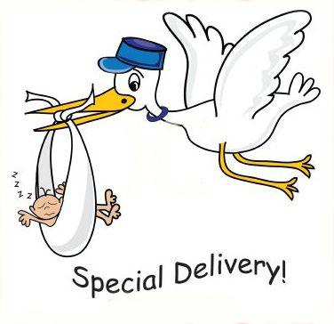 60+ Baby Shower Stork Clipart