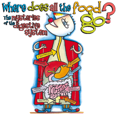 The Digestive System