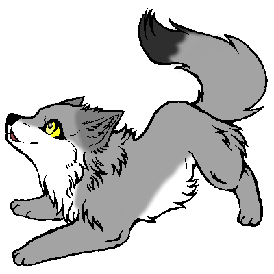 DeviantArt: More Like SIANII - Human and Wolf by SianiiTheWolf