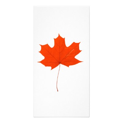 Maple Leaf Templates Kids Domain