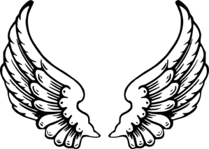 heart-wing-logo-md.png