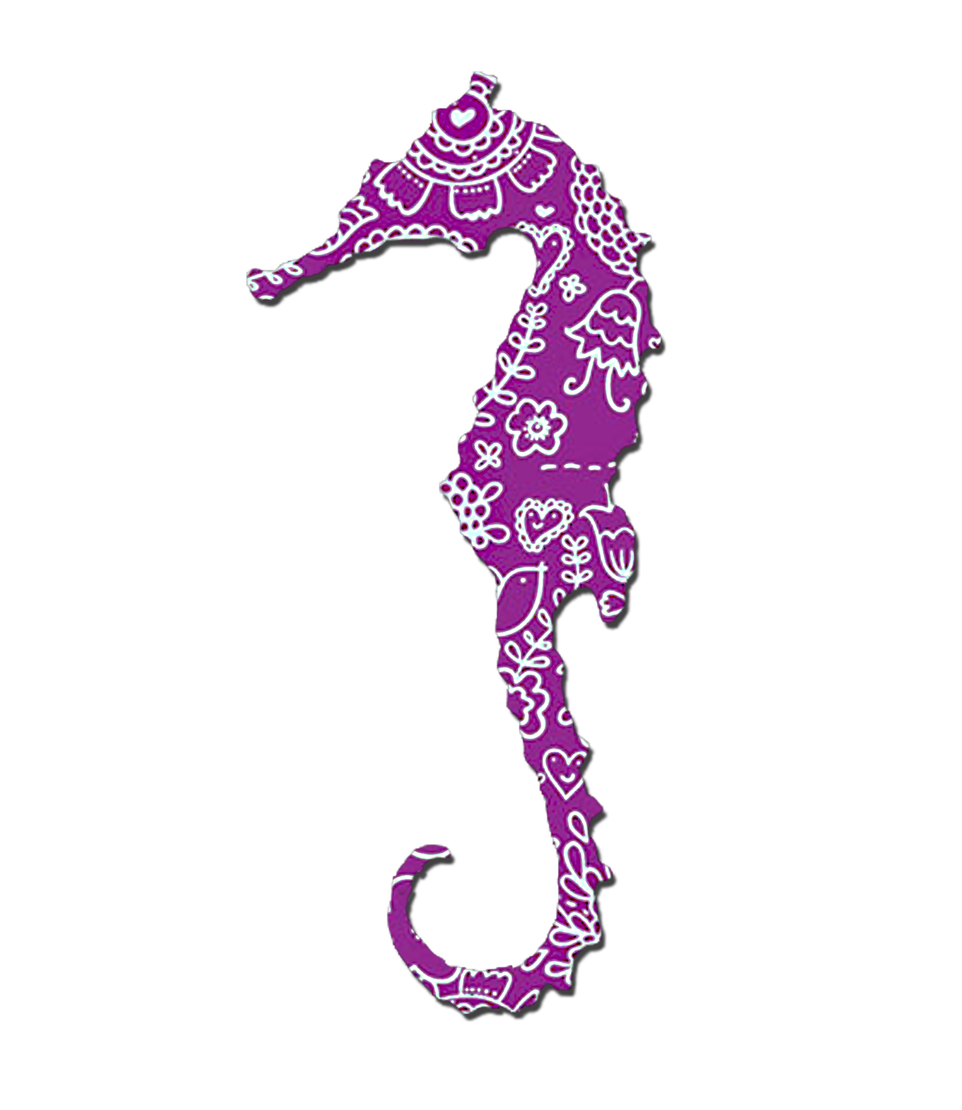Cartoon Seahorse