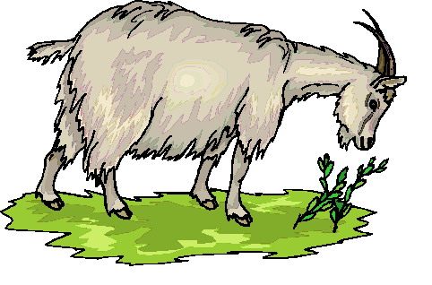 Clip Art - Clip art goats 503510