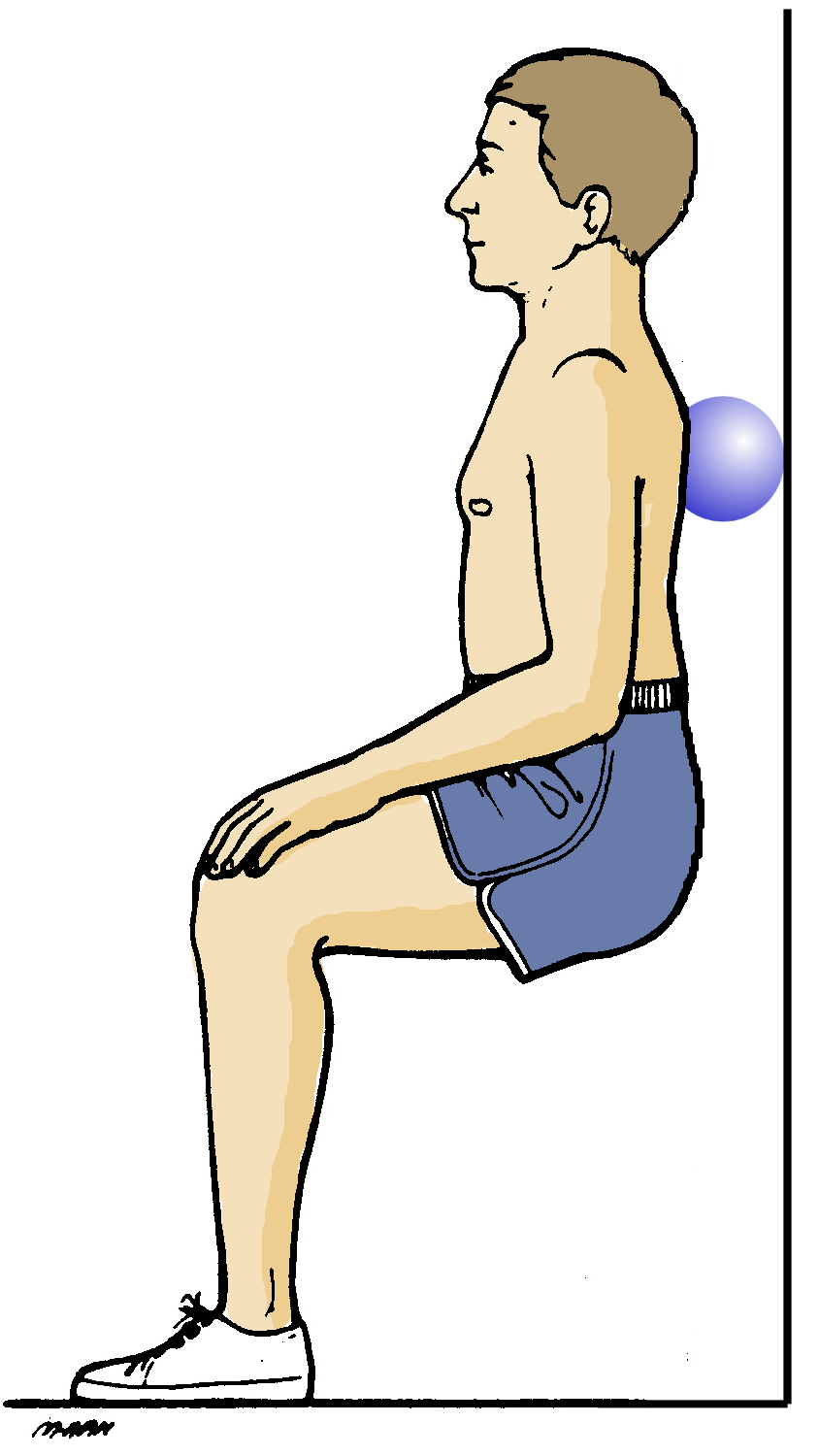 Arm Bones Diagram - ClipArt Best