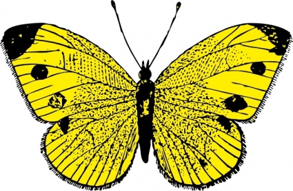 Butterfly Vector - Download 377 Vectors (Page 1)