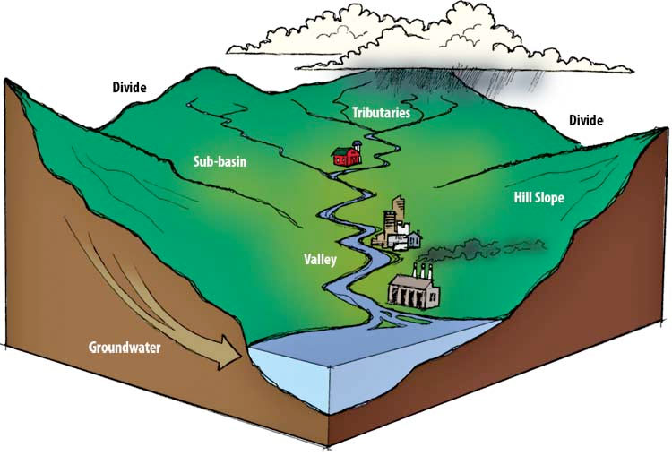The Aquetong Watershed Association - About the Watershed
