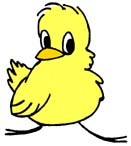 Life for us: CHICKENS!!!