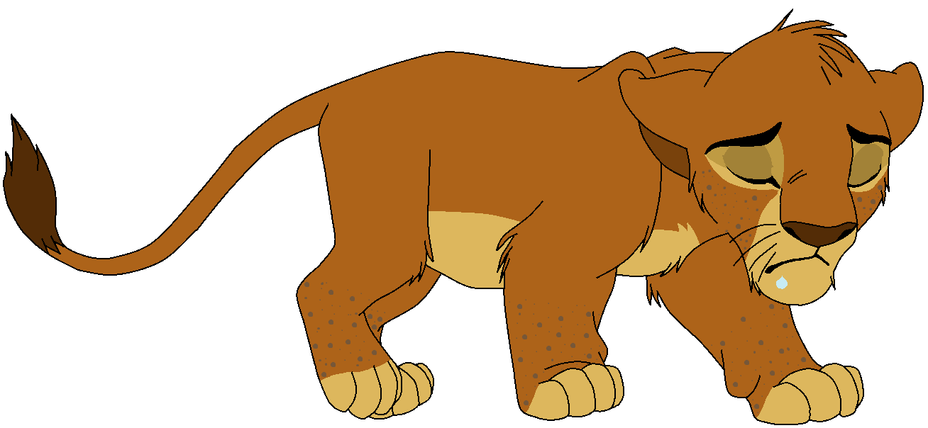 Lion Animation Pictures