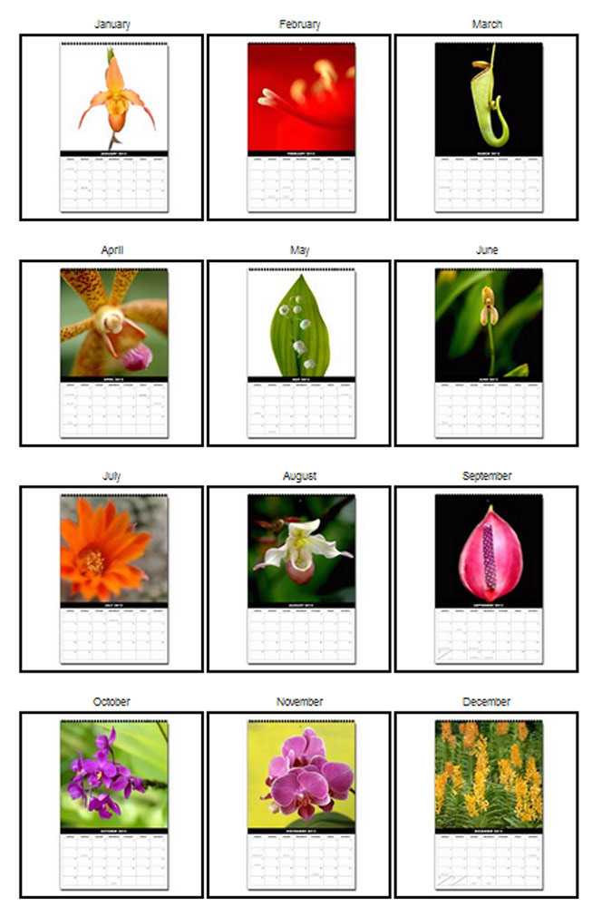 Two Calendars with Great Photos How to Take Great Photos
