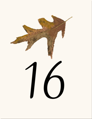 Autumn Wedding Program-Fall Leaves-Jewish Wedding Program-Jewish ...