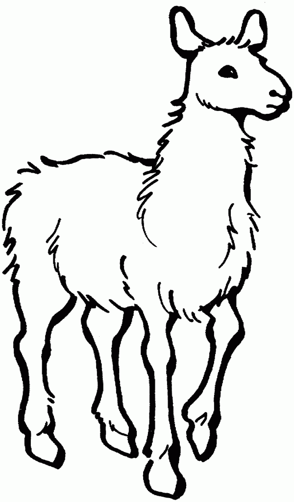 Llama clip art free clipart images - Clipartix