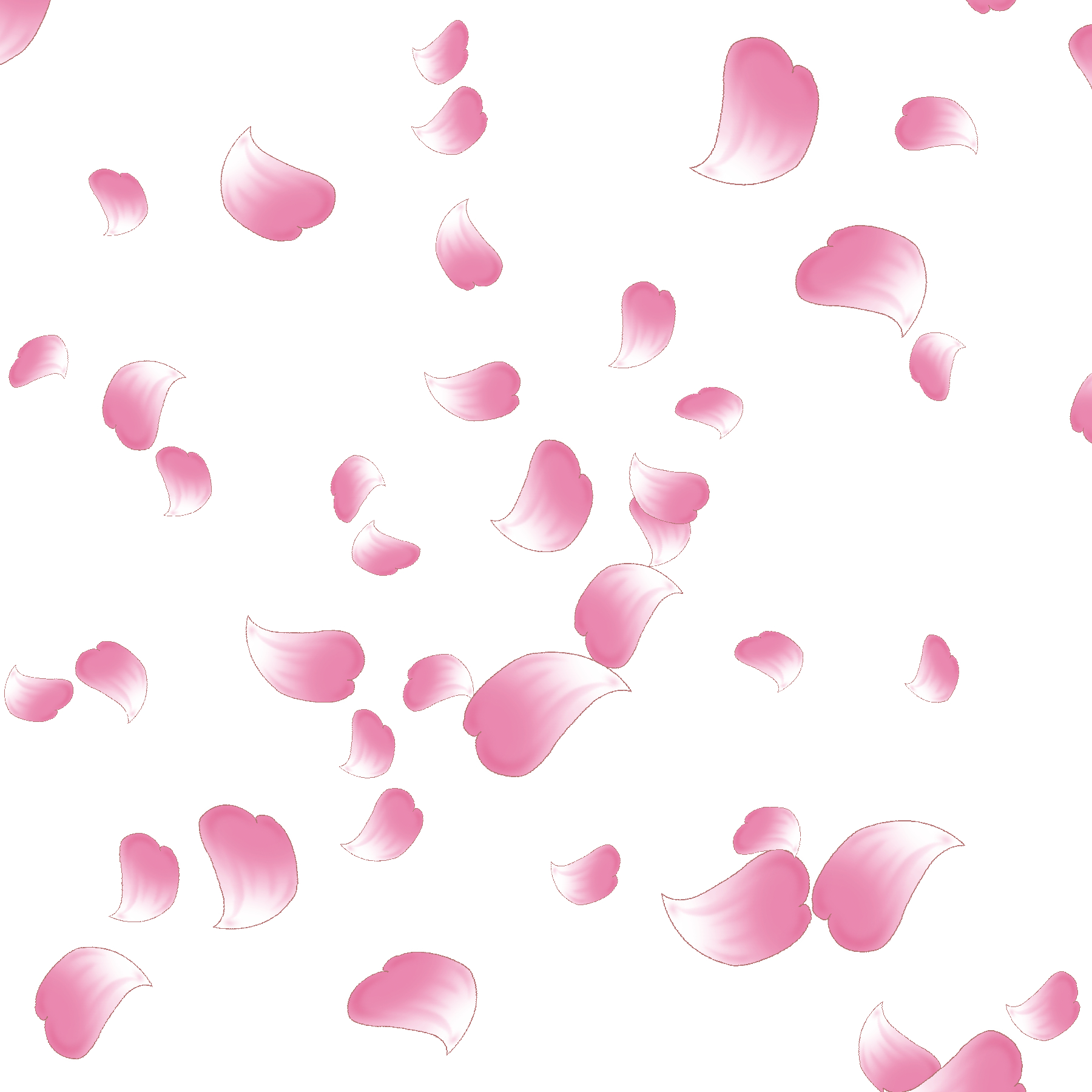 Transparent Cherry Blossom - ClipArt Best