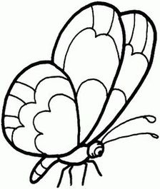 Butterfly Tracing Clipart - Free to use Clip Art Resource