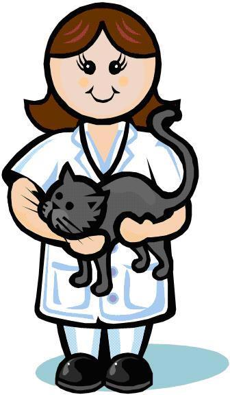 Cat vet clipart