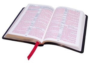 God's Words in My Daily Life