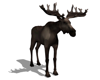Animated Mammal Animals Gifs at Best Animations