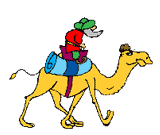 Wild Animals And Wild Animal Moving Animations