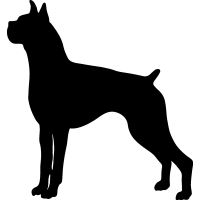 Free boxer dog clipart