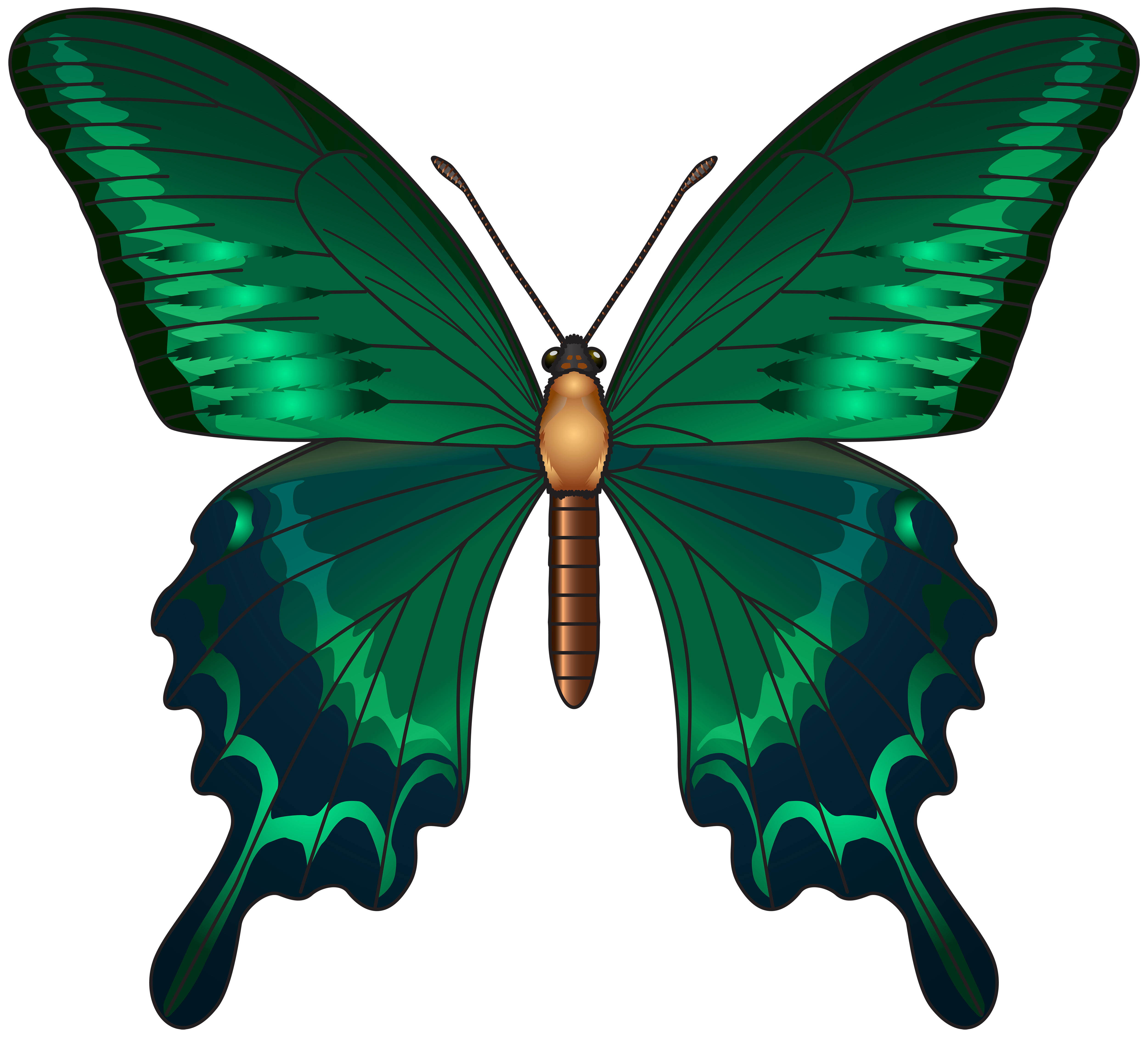 Green Butterfly PNG Clip Art Image