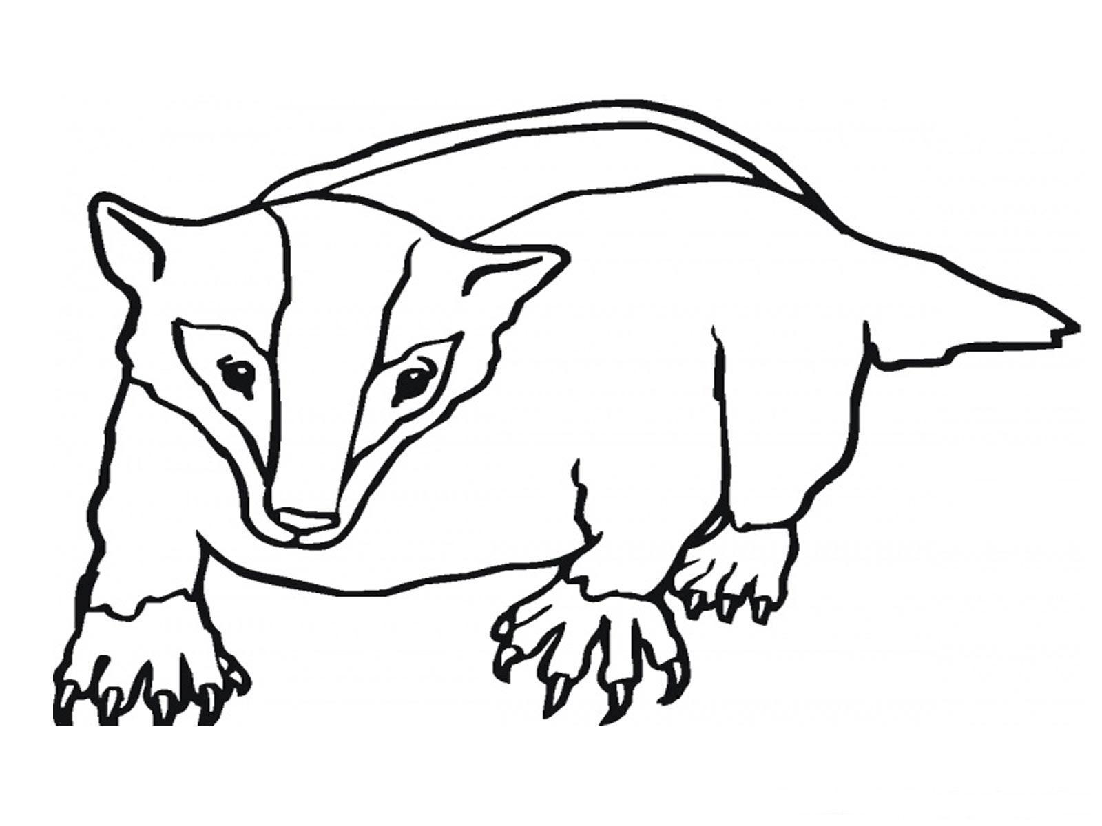 1000+ images about SRP2013 Under Badger | Riddler ...
