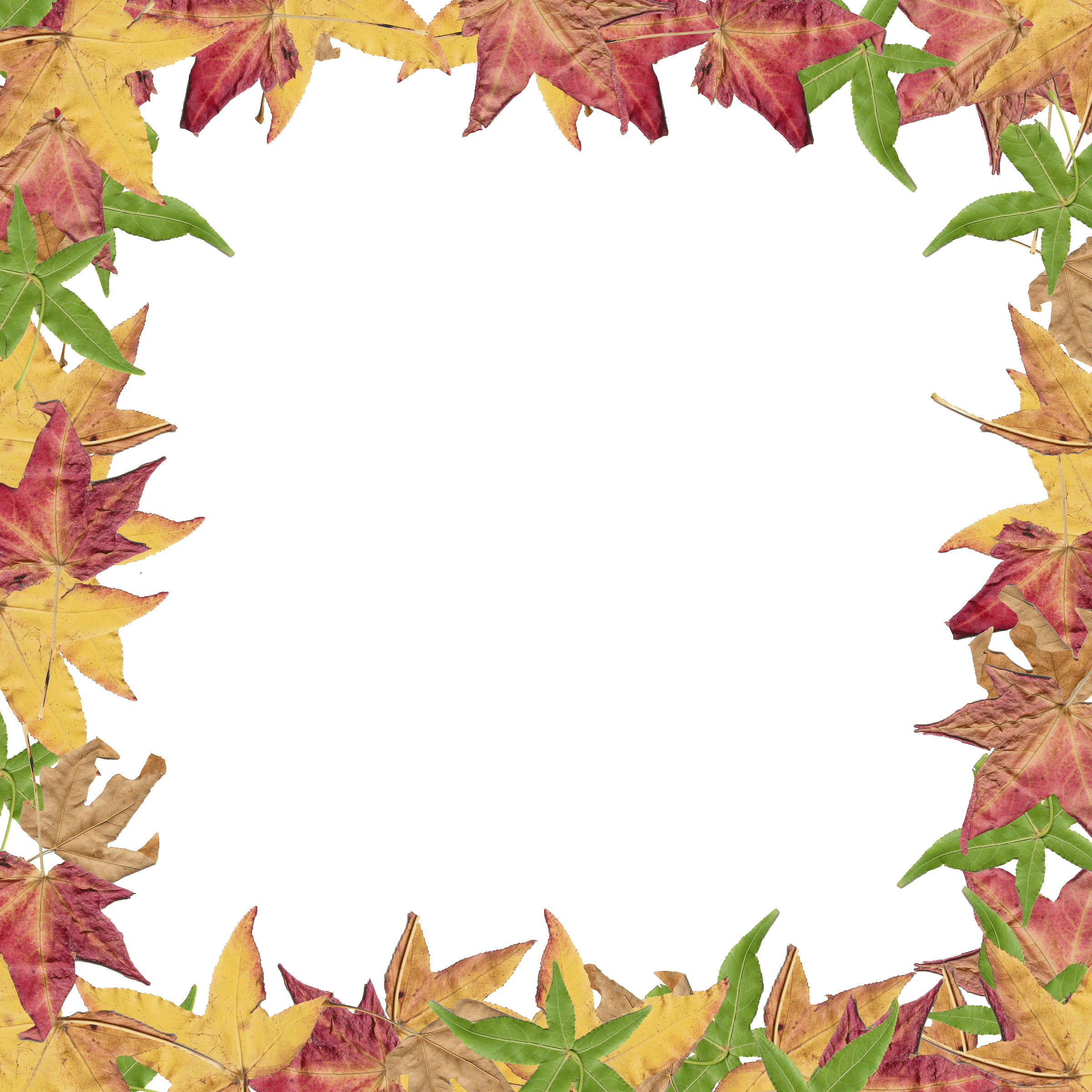 Fall Leaves Border Clipart - Free Clipart Images