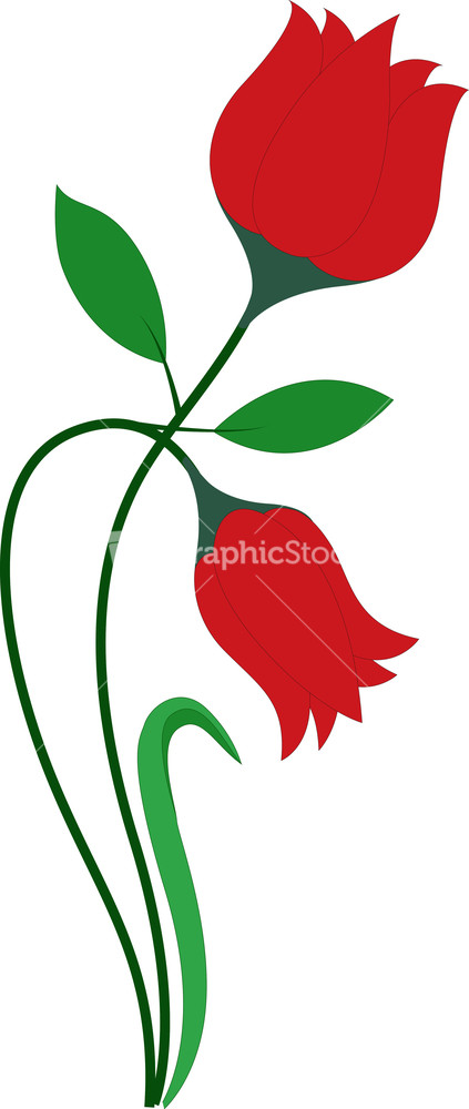 Tulip Vector Flower