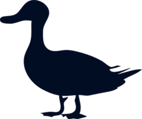 Loon Clip Art Clipart - Free to use Clip Art Resource