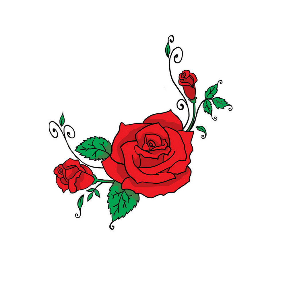 Roses cartoon images