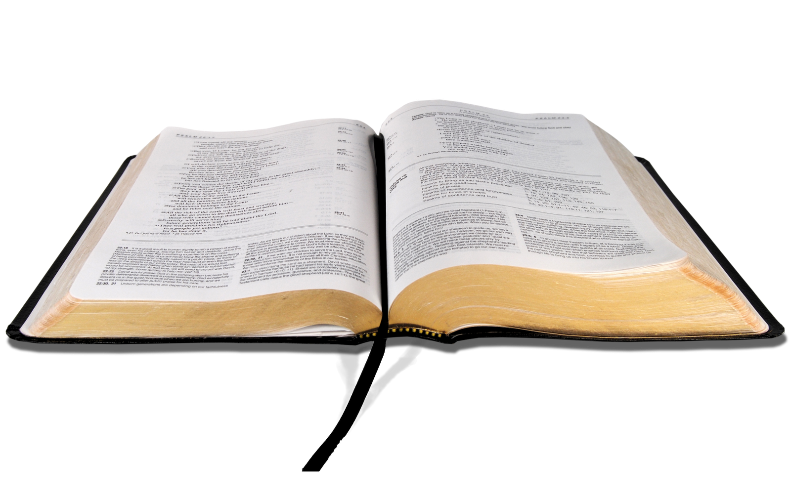 Bible Png - Free Icons and PNG Backgrounds
