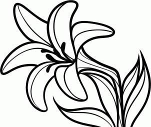 How to Draw an Easter Flower, Easter Lily