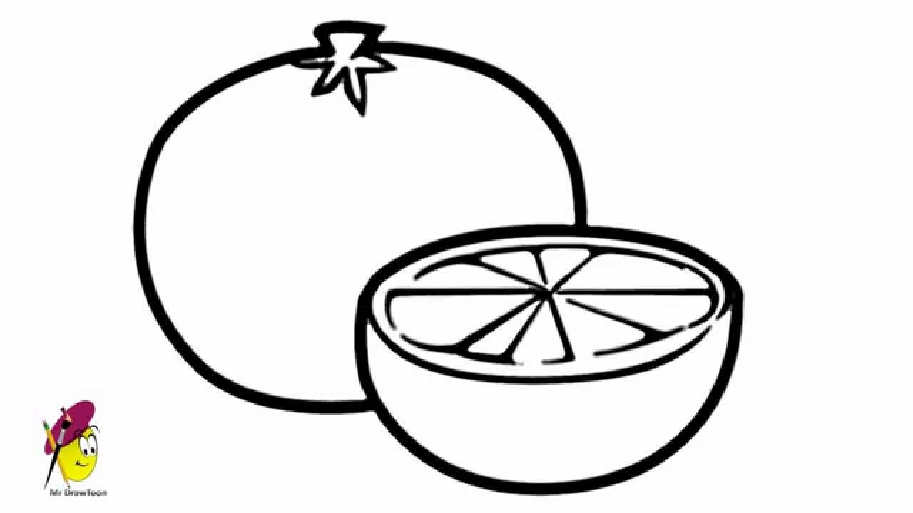 Orange - How to draw Oranges - How to draw Fruits - YouTube