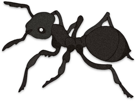 Free Ant Clipart - Black Ants