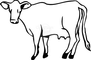 Black and white cow clipart no background