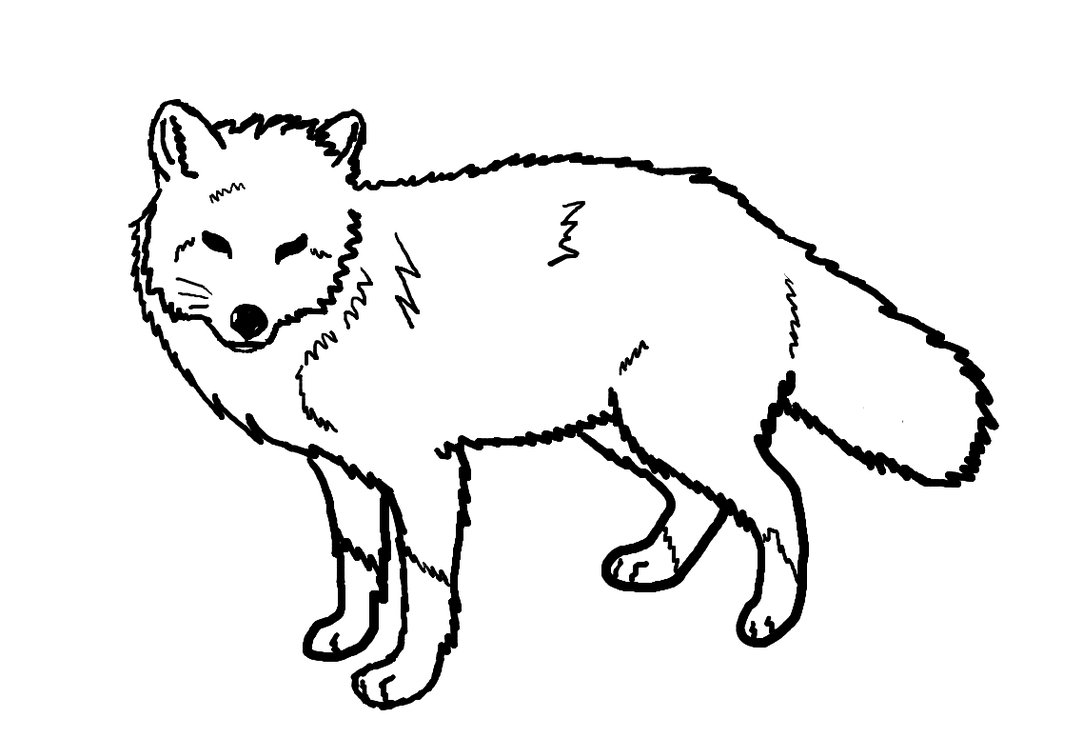 Red Fox Line Art