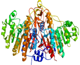 Neutrophil Alkaline Phosphatase (NAP) - USCN